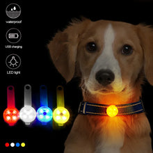 USB Safe Track LED Collar Charm