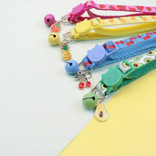 Fruity Pet Collar