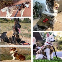 Military Training Dog Harness