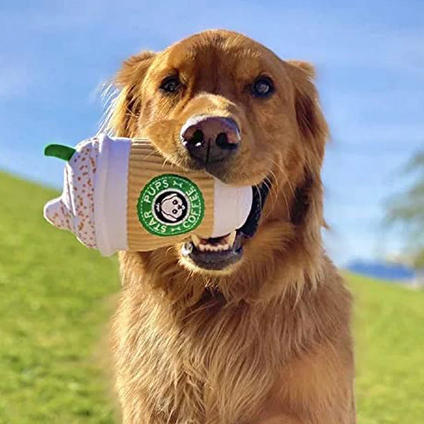 Squeaky Coffee Cup Toy