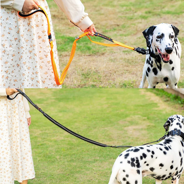 Tactical Bungee Leash