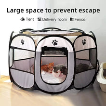 Portable Foldable Cat Tent House