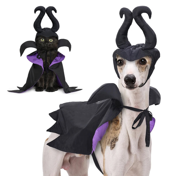 Witchy Cat and Dog Halloween Outfit