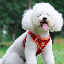 Ultimate Dog Harness and Lead