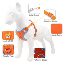 Ultimate Dog Harness and Lead