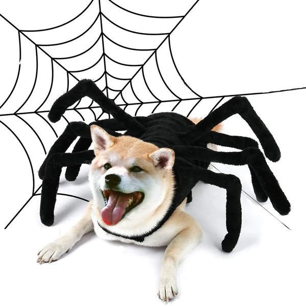 Spooky Spider Pet Outfit