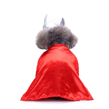 Cosplay Cat and Dog Costumes