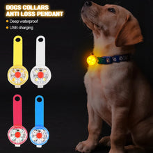 USB Safe Track LED Collar Charm