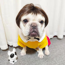 Pet Costume Wig