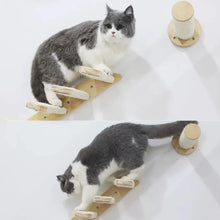 Cat Wall Mounted Climbing Set