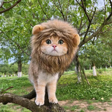 Furry Lion Pet Costume