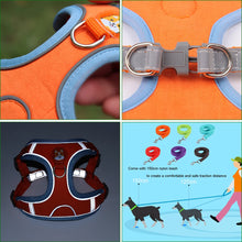 Ultimate Dog Harness and Lead