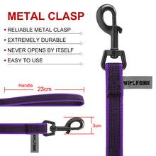 Dual-Color Dog Leash - Tough Nylon with Latex Silk