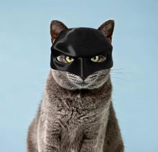 Bat Cat Mask