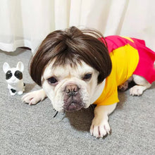 Pet Costume Wig