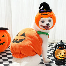 Pumpkin Pet Costume