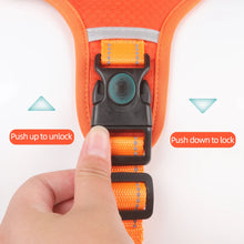 Outdoor Travel Dog Harness