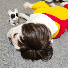 Pet Costume Wig