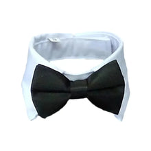 Bow and Tie Collar Accessory