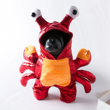 Red Crab Pet Costume