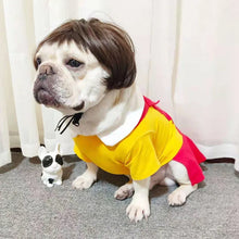 Pet Costume Wig