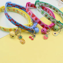 Fruity Pet Collar