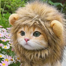 Furry Lion Pet Costume