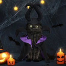 Witchy Cat and Dog Halloween Outfit