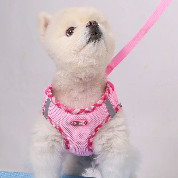 Easy-Adjust Dog Harness