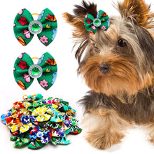 Colorful Dog Hair Bows Set