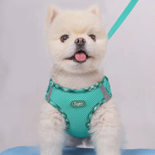 Easy-Adjust Dog Harness