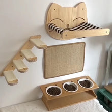 Cat Wall Mounted Climbing Set