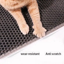 Cat Double-Layered Litter Mat