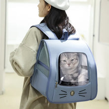 Outdoor Transparent Pet Carrier