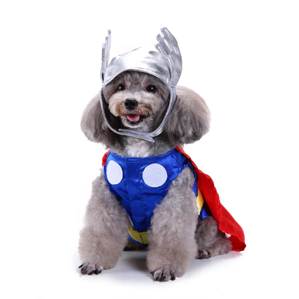 Cosplay Cat and Dog Costumes