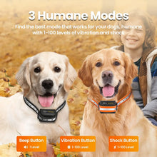 ROJECO 1000m Electric Remote Control Dog Training Collar