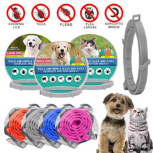 Waterproof Adjustable Dog Collar