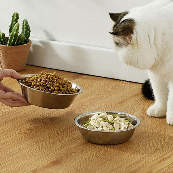 Stainless Steel Pet Food Bowl